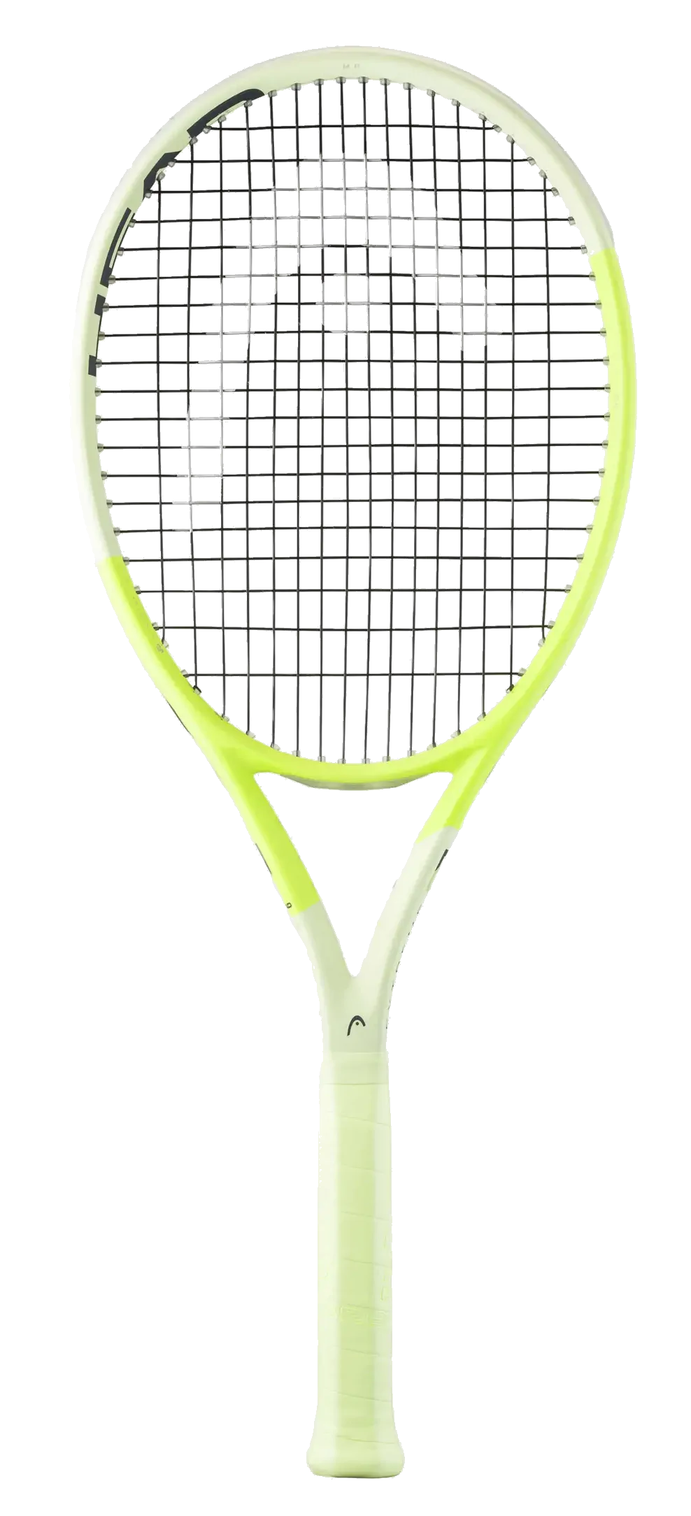 Head Extreme MP 2024